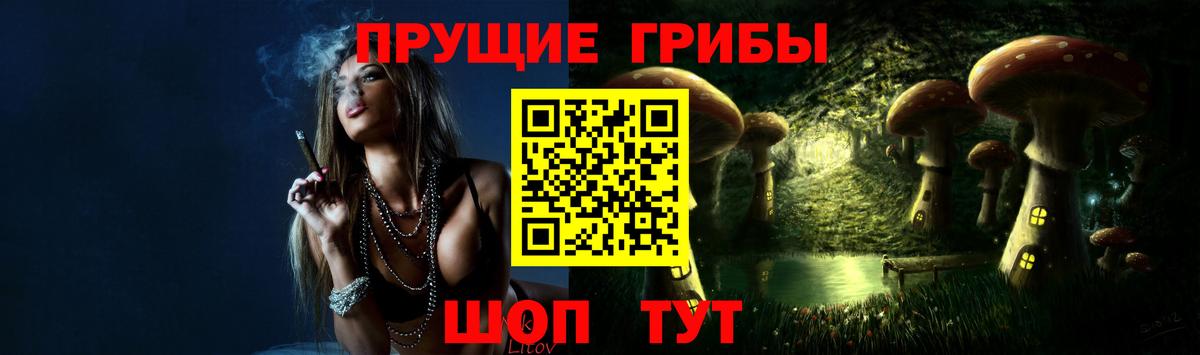 Гурьевск  Псилоцибиновые грибы мицелий  Вход с VPN 